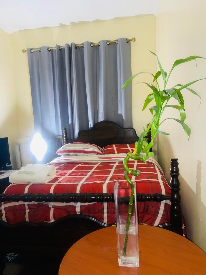 Cozy Comfort In Brooklyn Νέα Υόρκη Εξωτερικό φωτογραφία